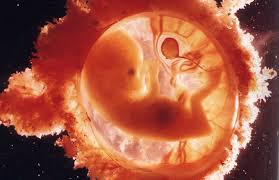 téléchargement (2)